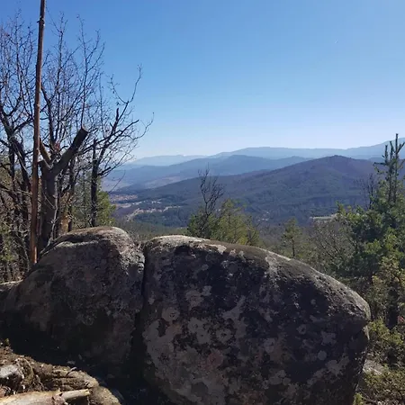Lägenhet Serenity Forest Velingrad